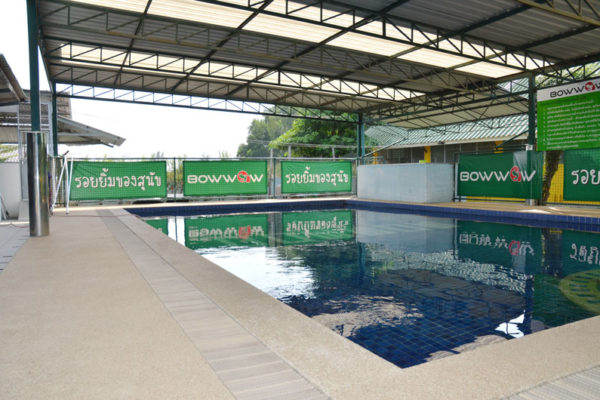pool4